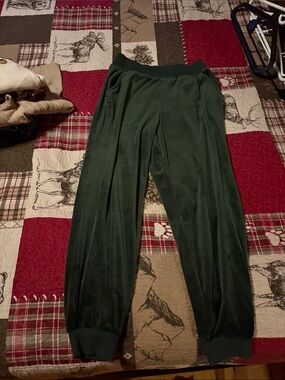 Banana Republic Dark Green Velour Jogger Pants Small